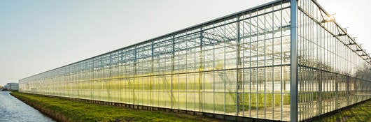 A greenhouse surrounded by green grass sits near the edge of the water on a clear day 